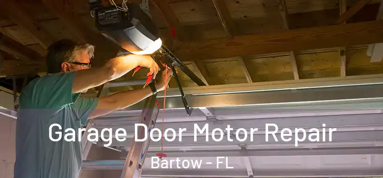  Garage Door Motor Repair Bartow - FL