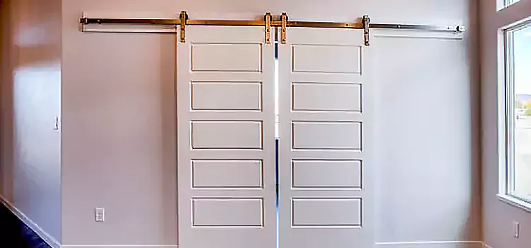 Glass Barn Door with Installation Hardware Kit Bartow