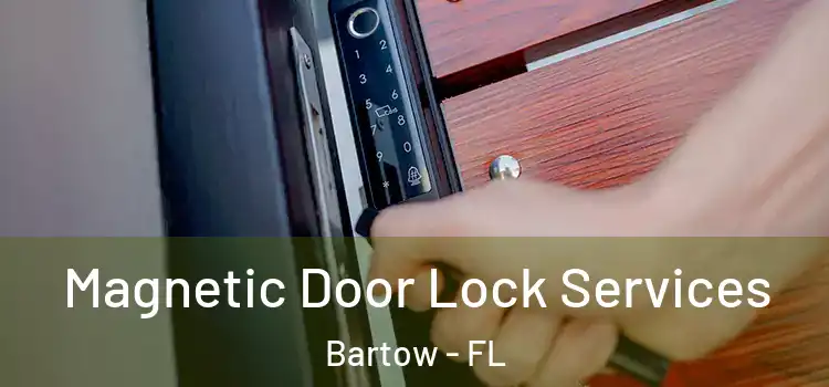 Magnetic Door Lock Services Bartow - FL